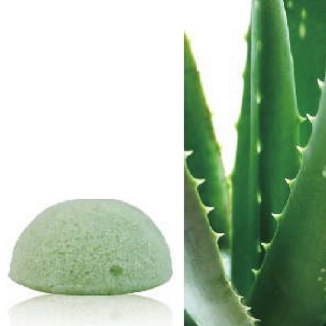 Éponge de Konjac 5