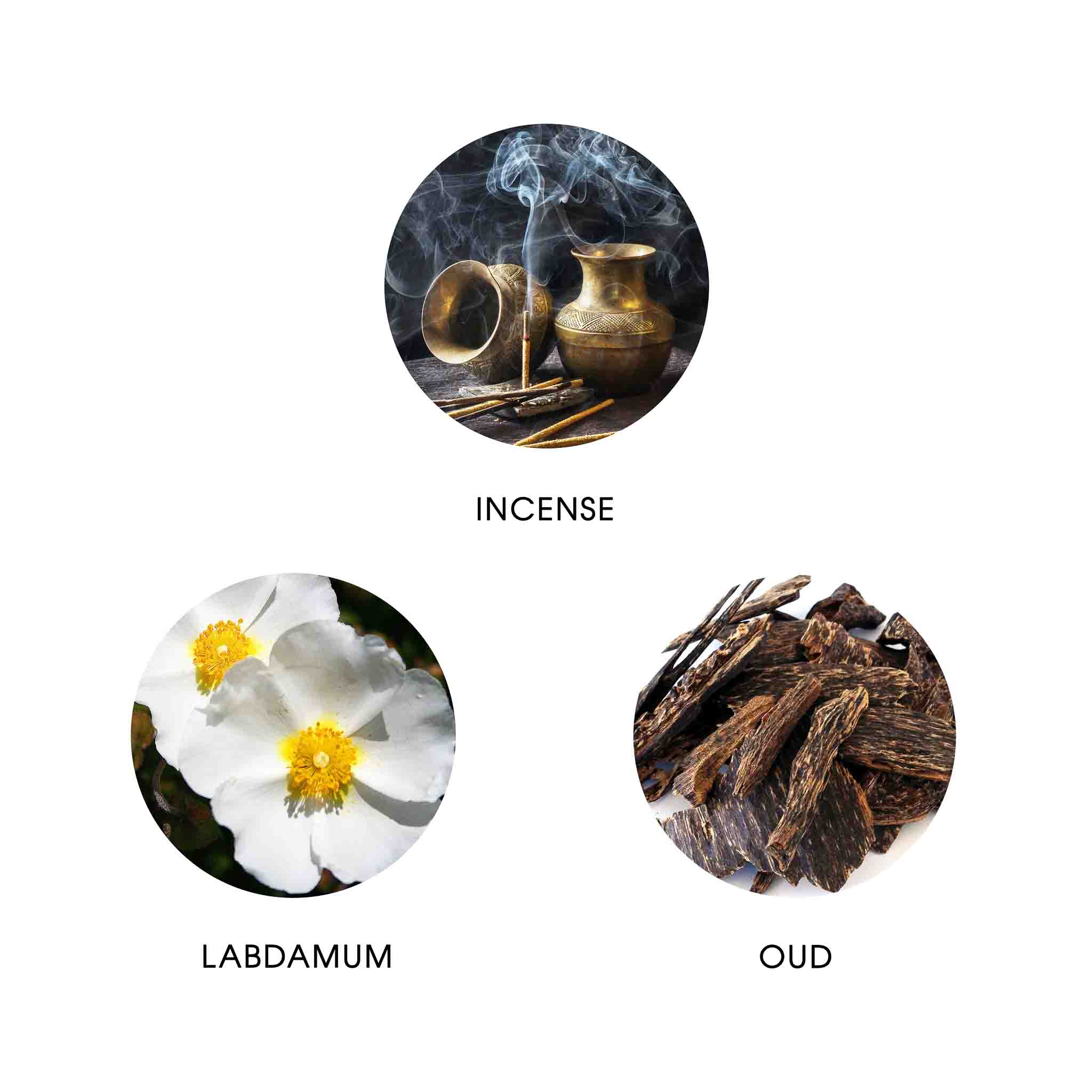 MUSHUSSU BABYLONIA 50ML EAU DE PARFUM 96% NATURELLE, VEGAN, UNISEXE - 4