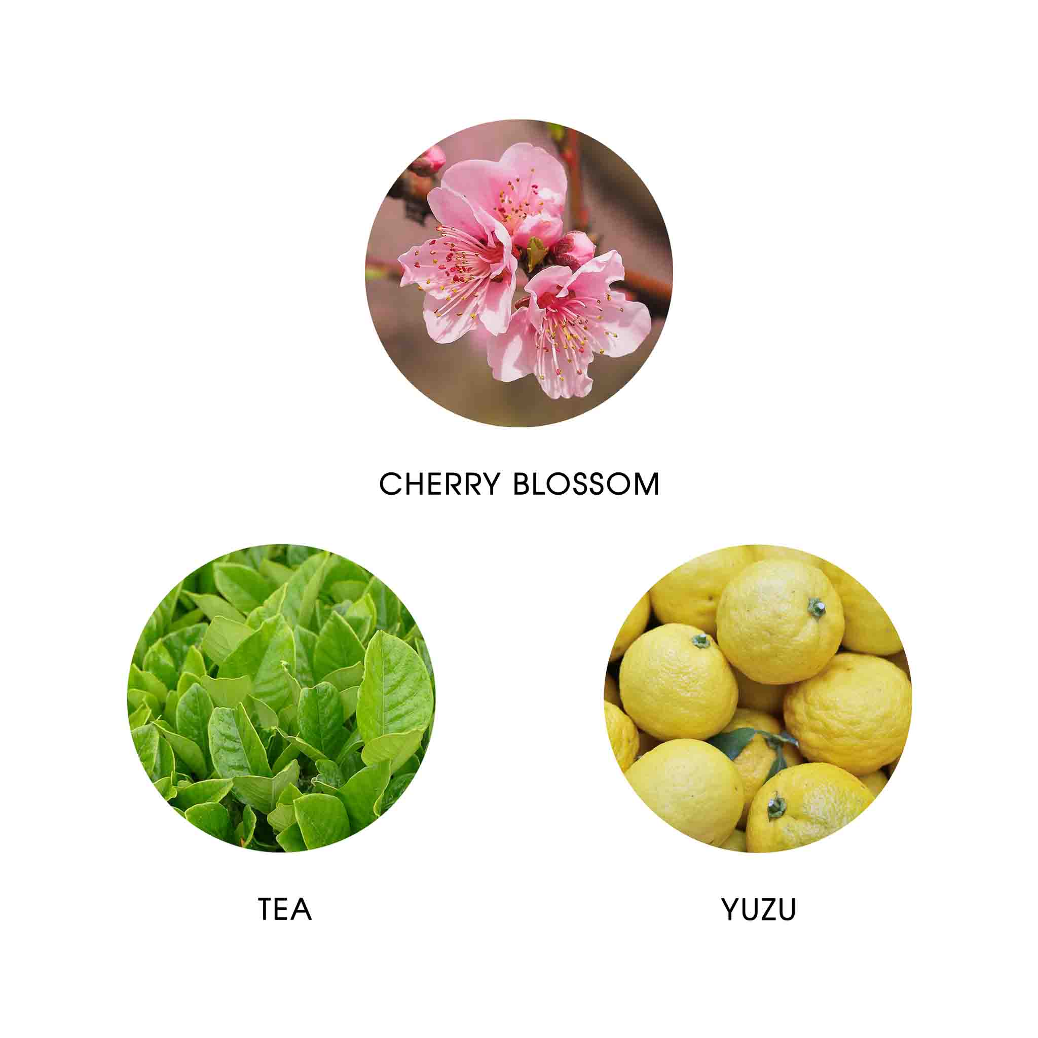 KADO JAPON, EAU DE PARFUM 50ML, 95% NATURELLE, VEGAN, UNISEXE 4