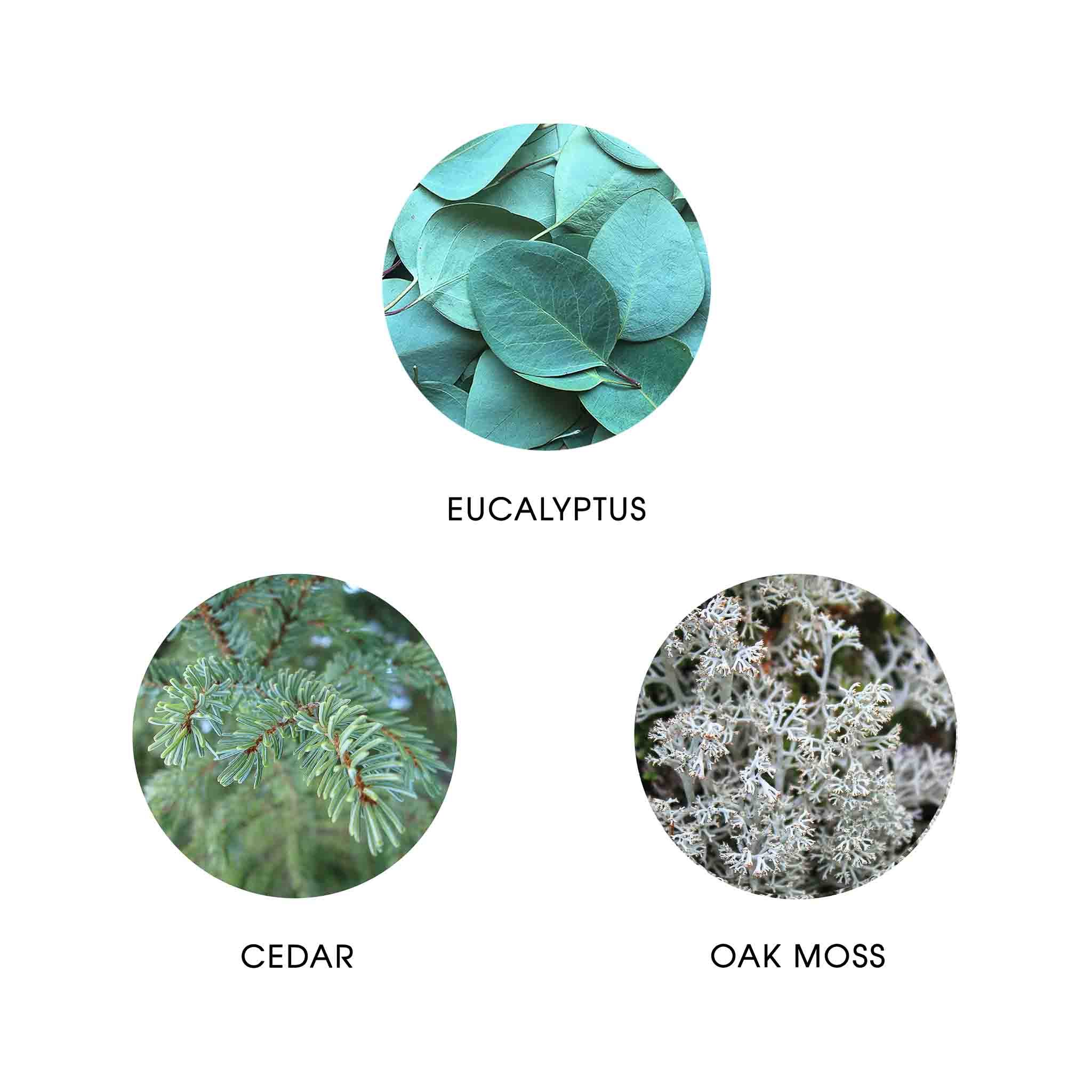 ICE BORÉAL, EAU DE PARFUM 50ML, 95% NATURELLE, VEGAN, UNISEXE, RECHARGEABLE 2