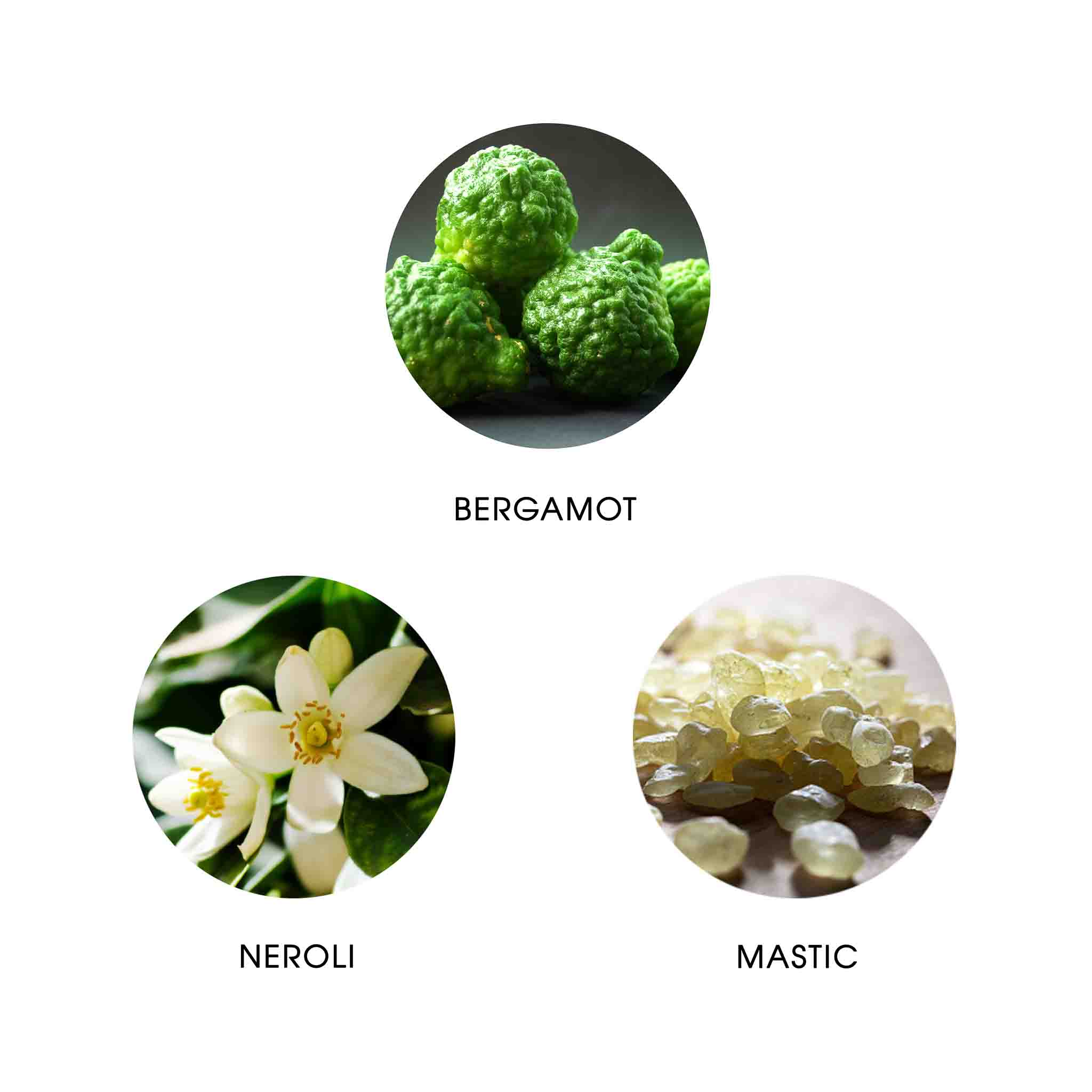 IRIDA CYCLADES, EAU DE PARFUM 50ML, 87% NATURELLE, VEGAN, UNISEXE 3