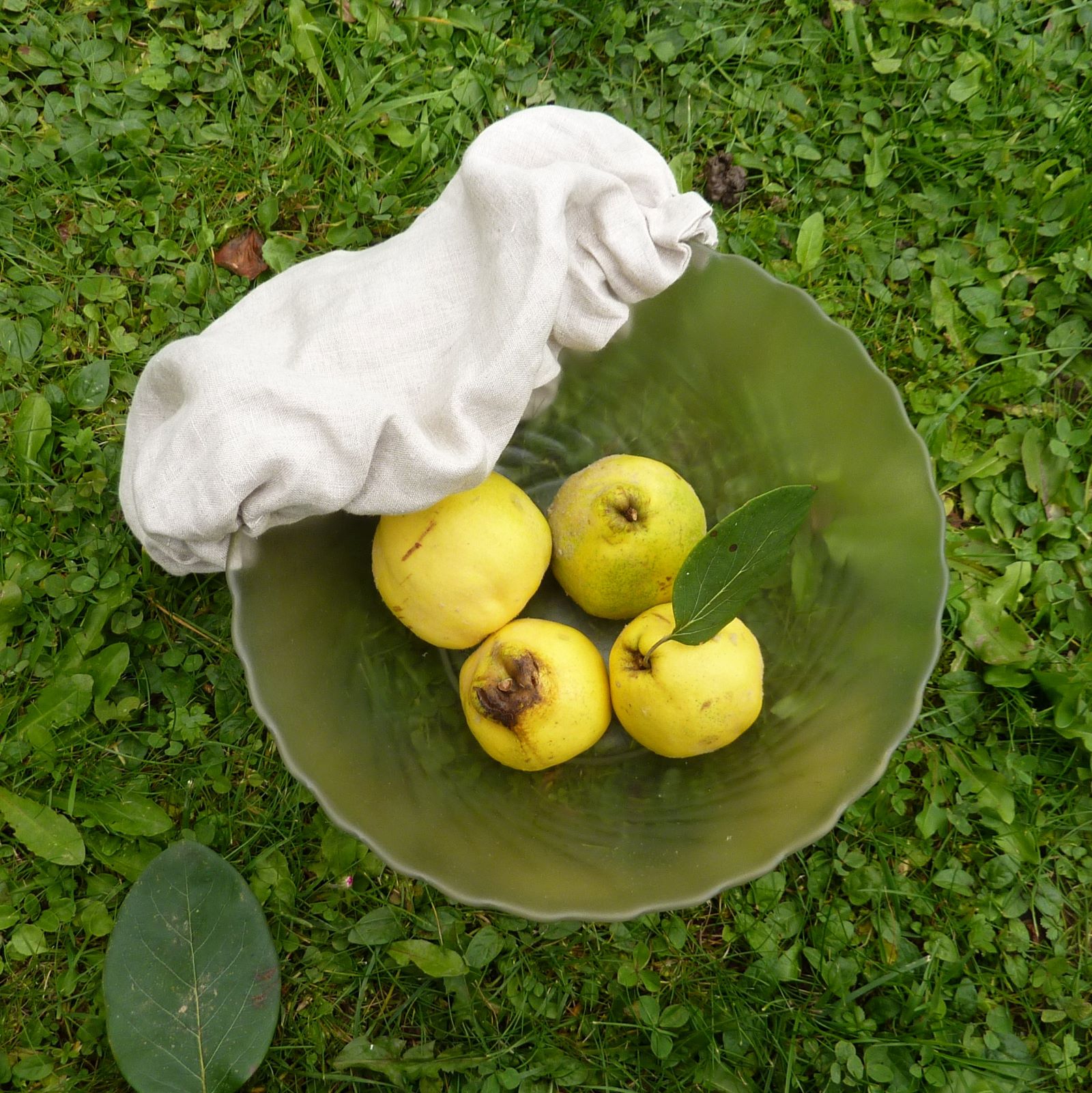 Recouvre bol voile en lin bio 6