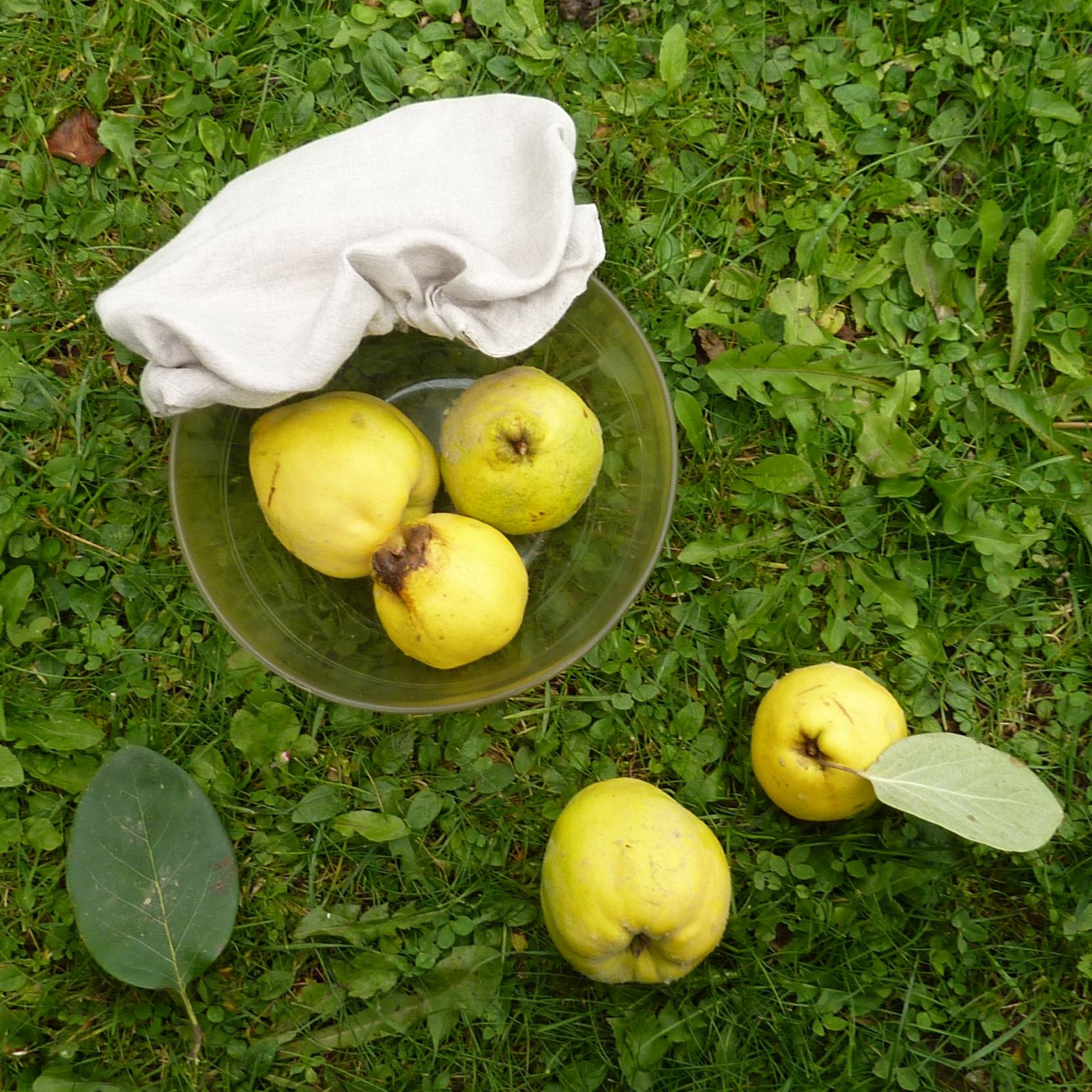 Recouvre bol voile en lin bio 8