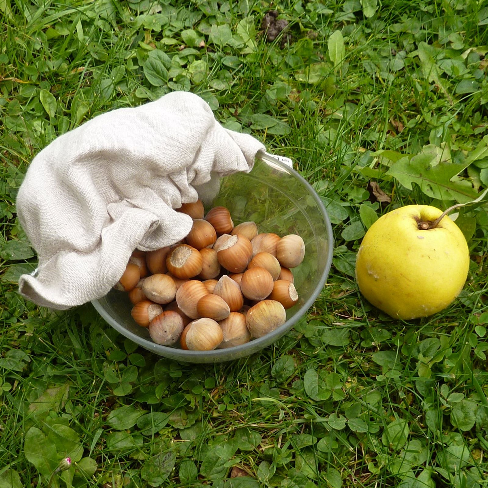 Recouvre bol voile en lin bio 9