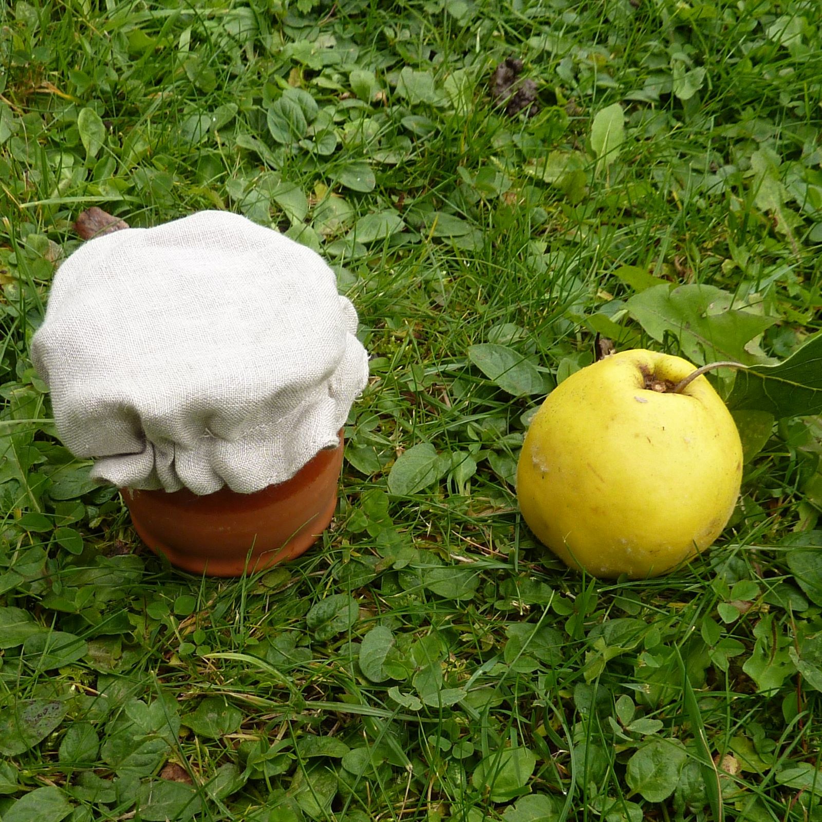 Recouvre bol voile en lin bio 3