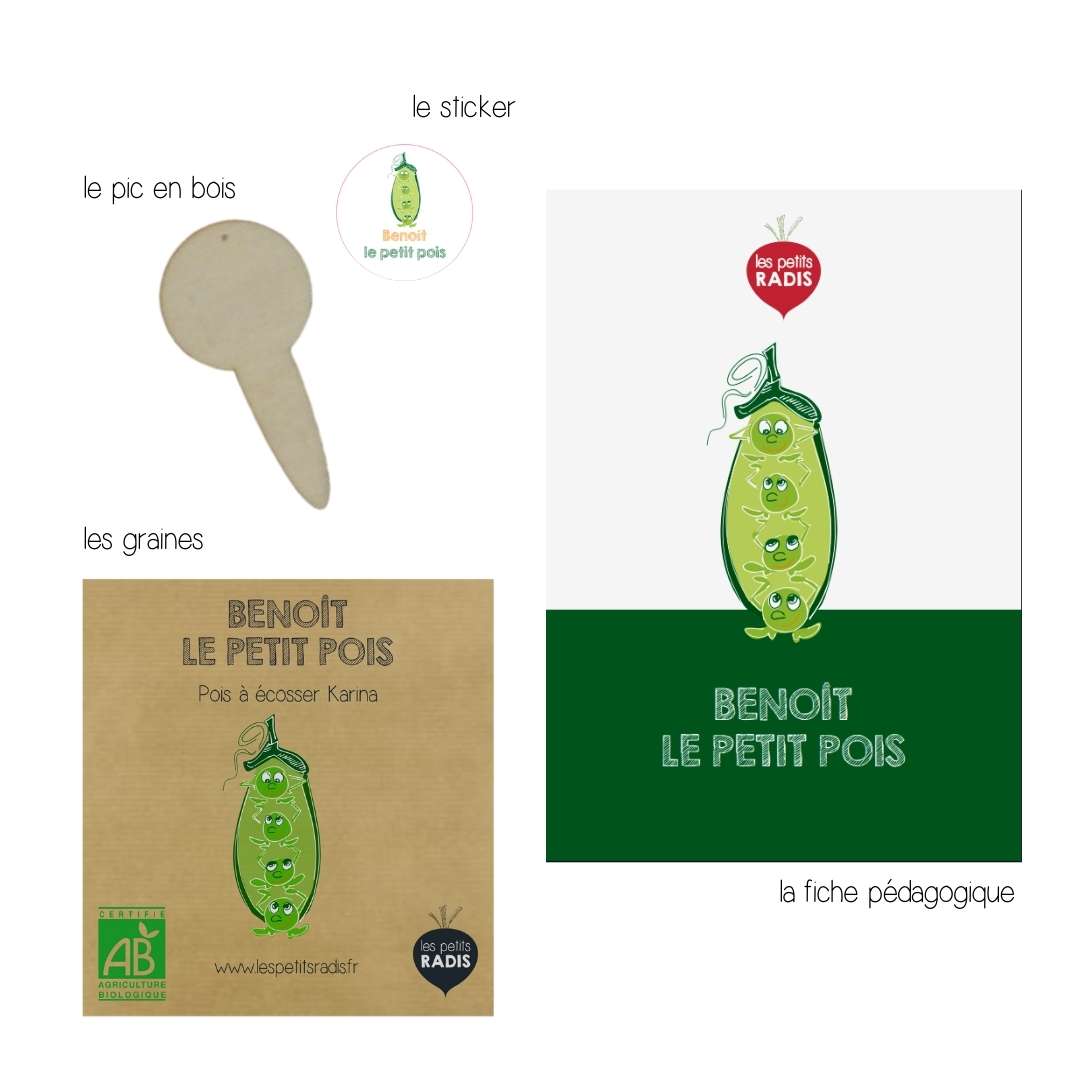 Mini-kit de semis - graines de petits pois BIO - Benoît le petit pois 3