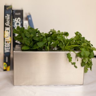 Balconnière pour cultiver deux plants