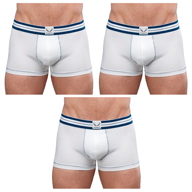 Pack de 3 shortys classiques blancs en coton bio 2