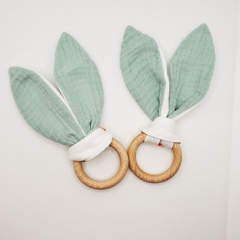 anneau dentition bio