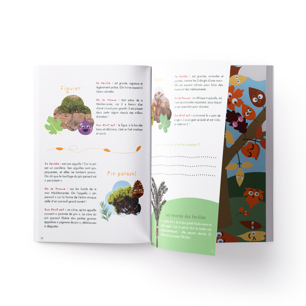 Carnet d'activités Les secrets des feuilles d'arbres 4