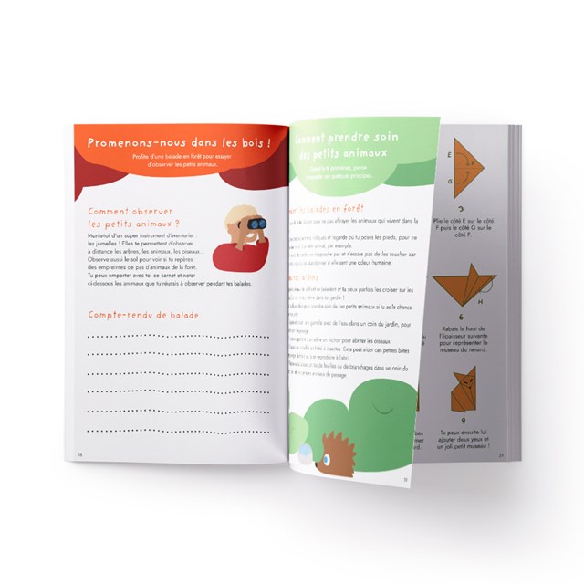 Carnet d'activités Les secrets des petits animaux de la forêt 4