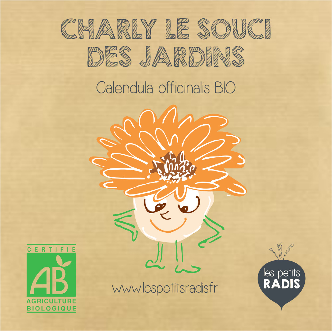 Graines de souci bio