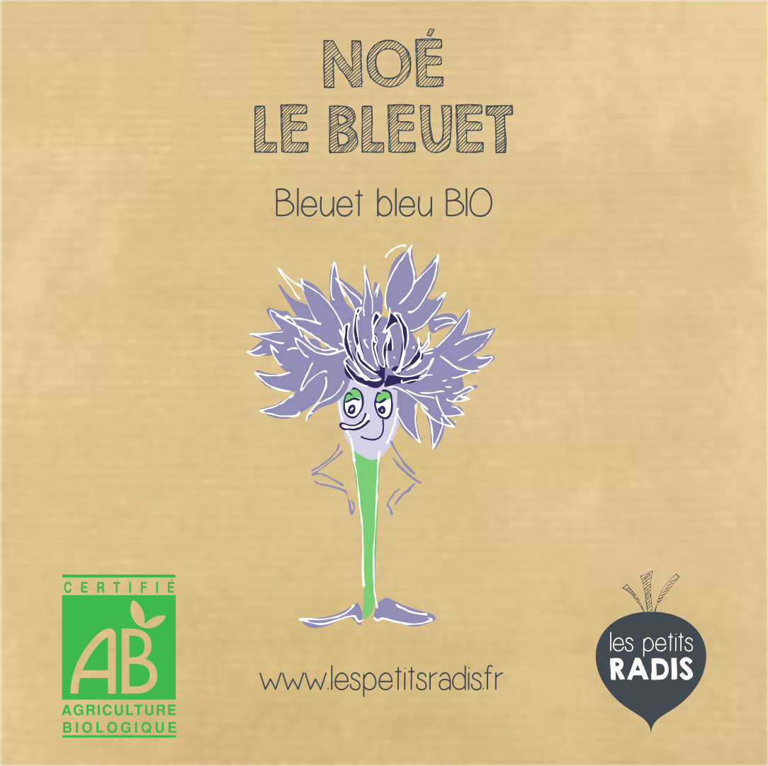 Graines de bleuet bio