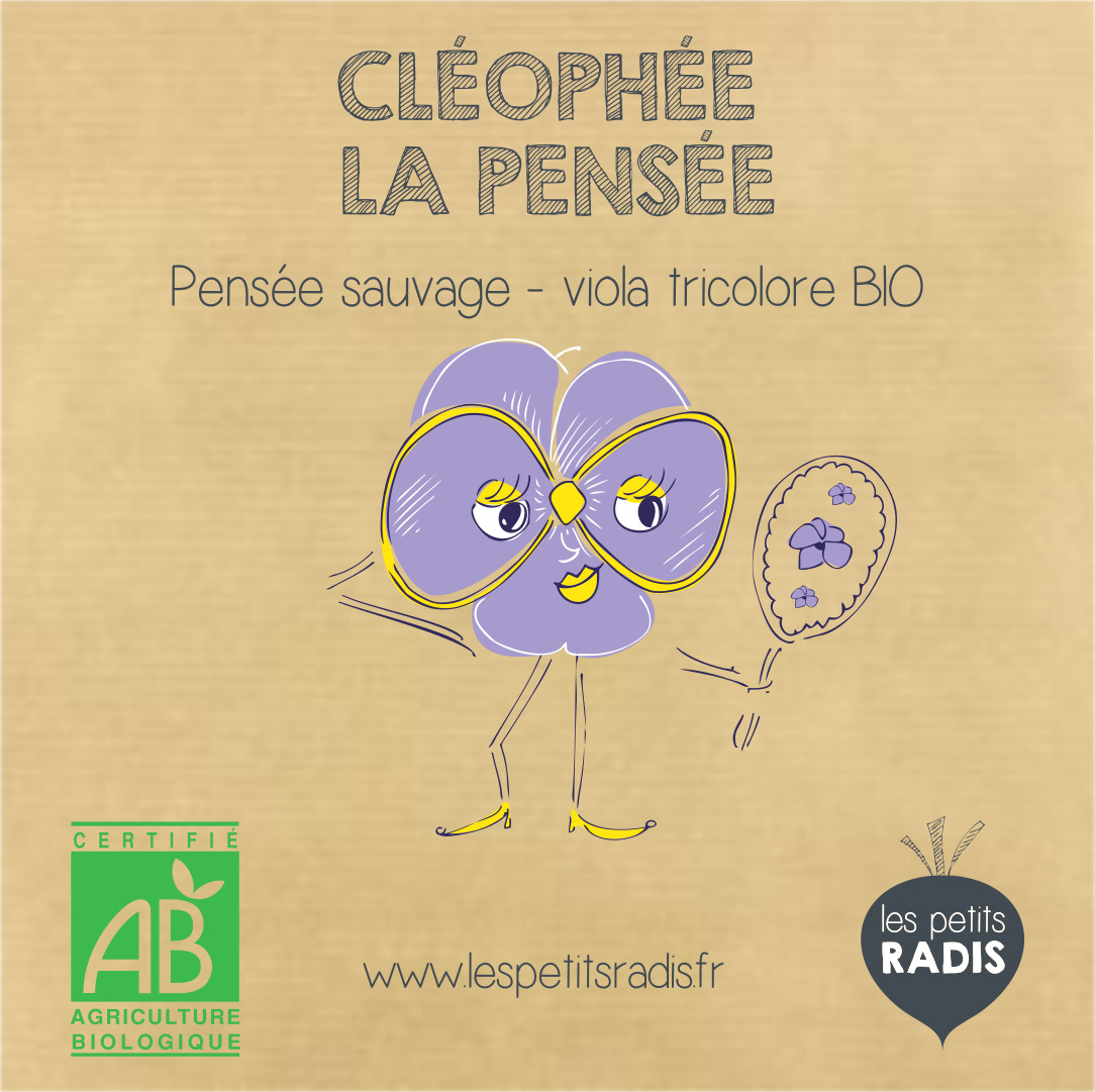 Mini-kit de semis - graines de Pensée bio - Cléophée la pensée 3