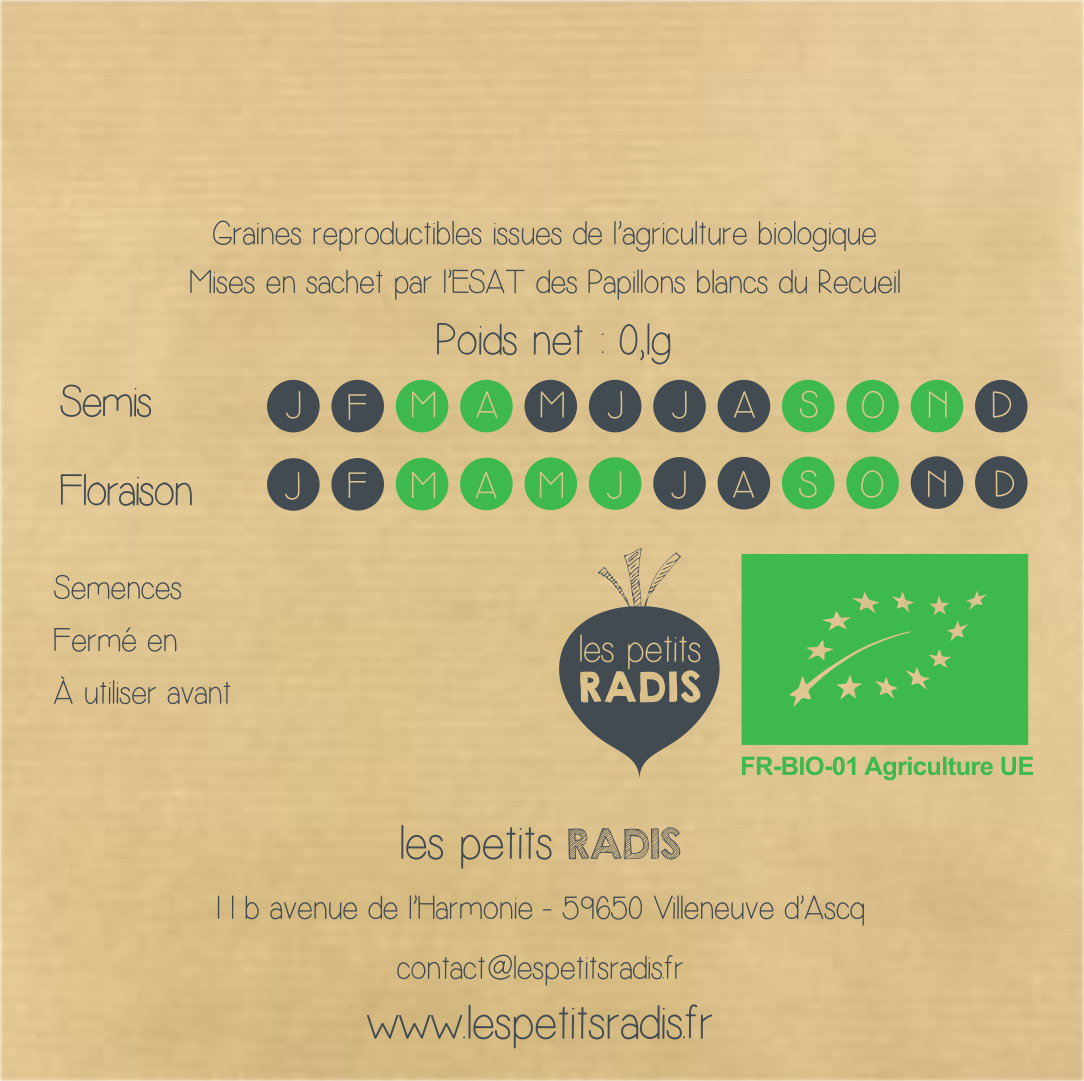 Mini-kit de semis - graines de Pensée bio - Cléophée la pensée 4