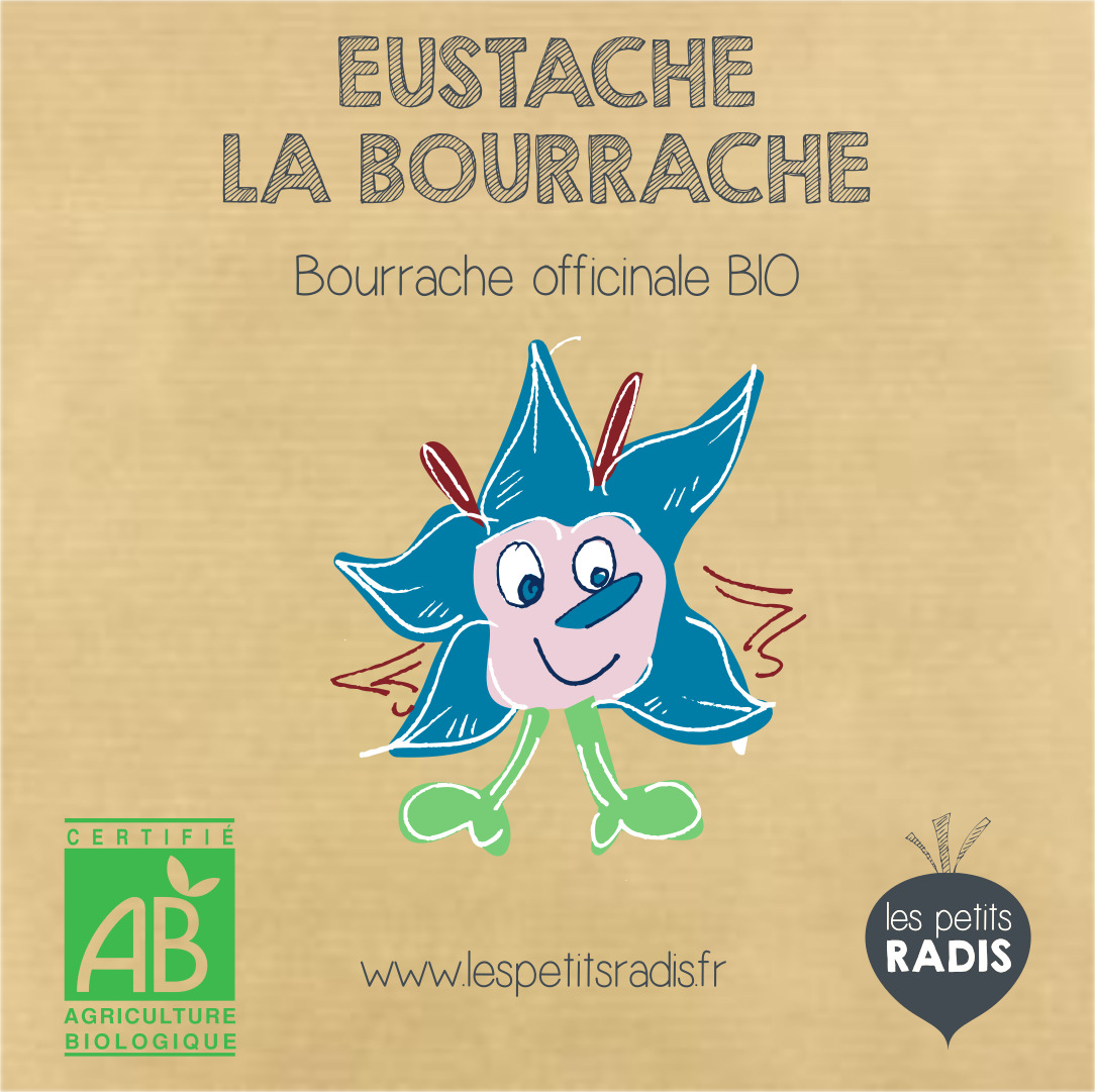 graines de bourrache bio