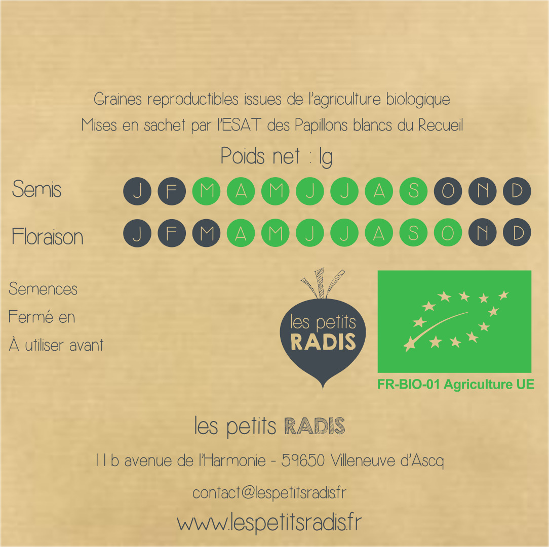 graines de bourrache bio