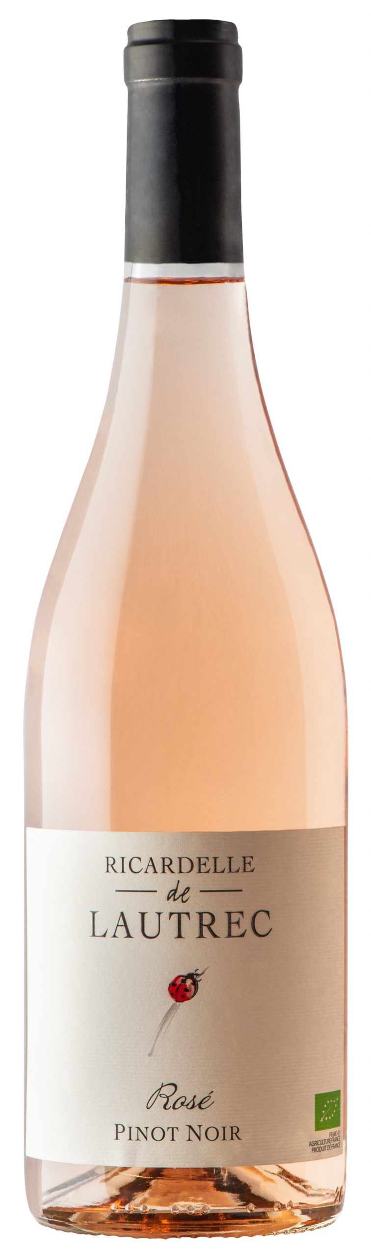 Box Découverte “Vins Bio” 3