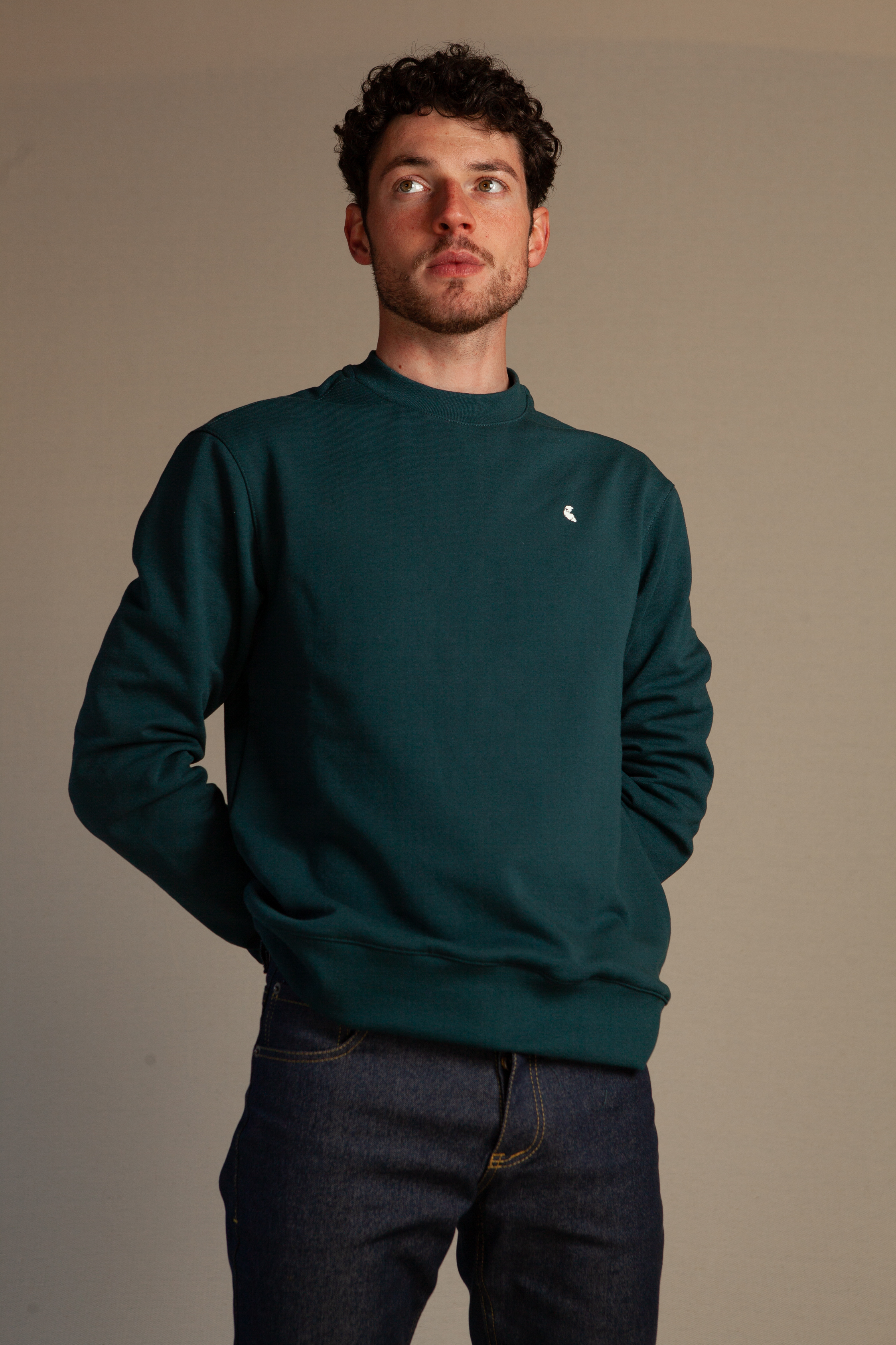 sweat-homme-col-rond-bleu-cold-forest-recycle-made-in-france