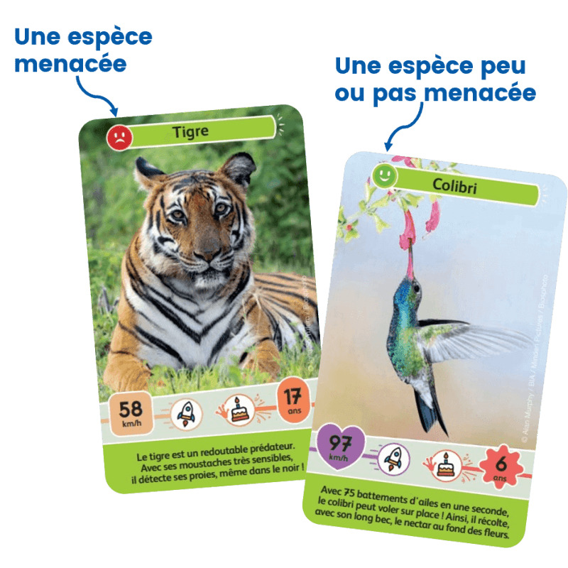 Défis Nature Junior - Mystères De La Jungle 6