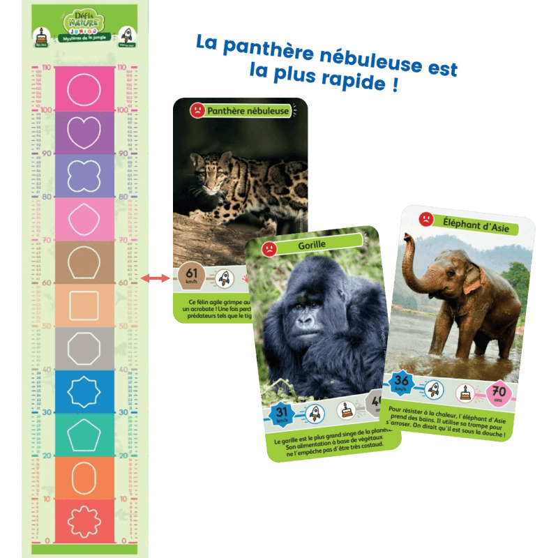 Défis Nature Junior - Mystères De La Jungle 5