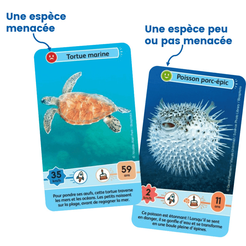 Défis Nature Junior - Merveilles De La Mer 6