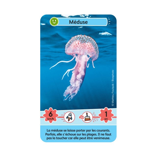 Défis Nature Junior - Merveilles De La Mer 7