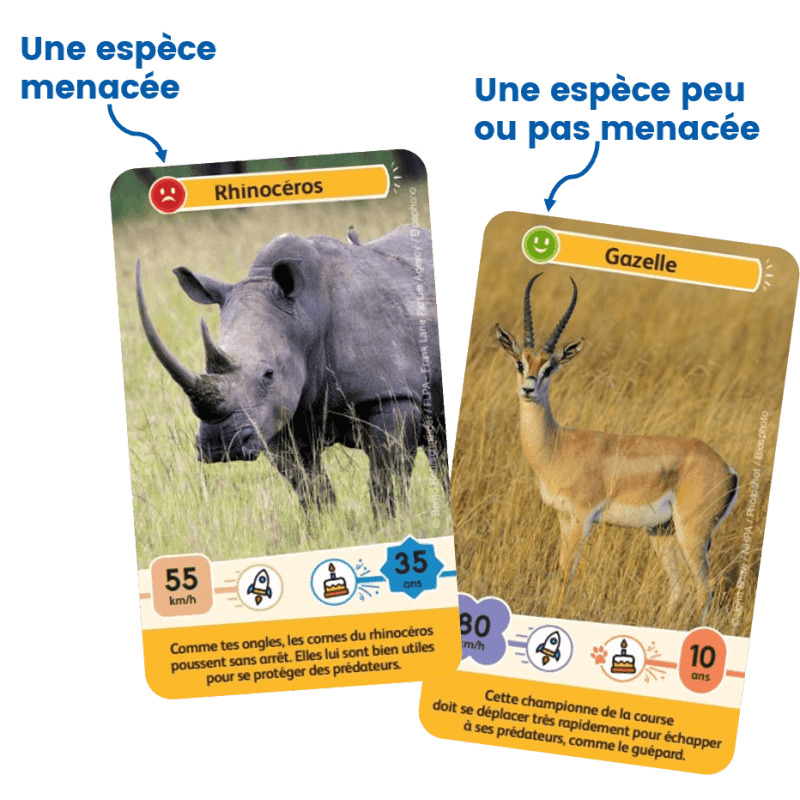 Défis Nature Junior - Rois De La Savane 7