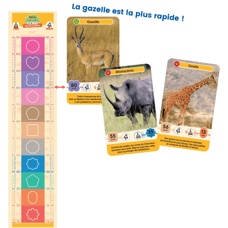 Défis Nature Junior - Rois De La Savane 5