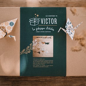 Coffret DIY Victor - Créez votre suspension en origami