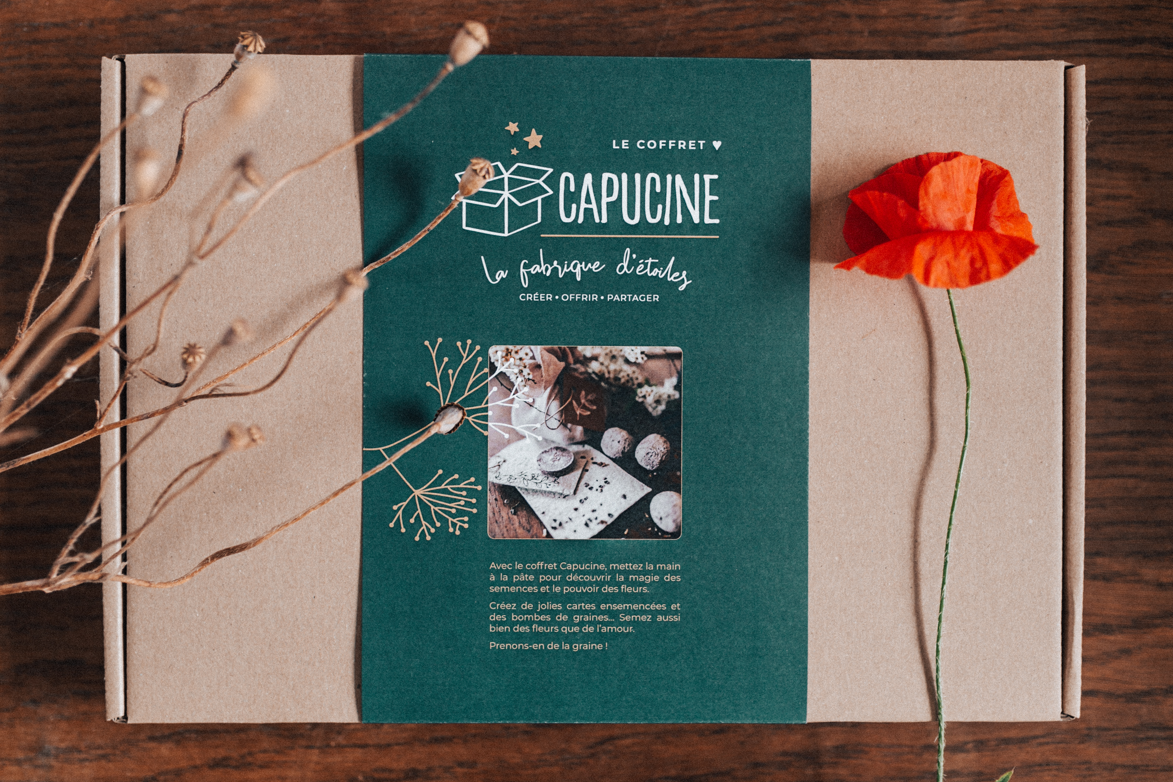 Coffret DIY Capucine - Créez vos bombes de graines et cartes ensemencées 5