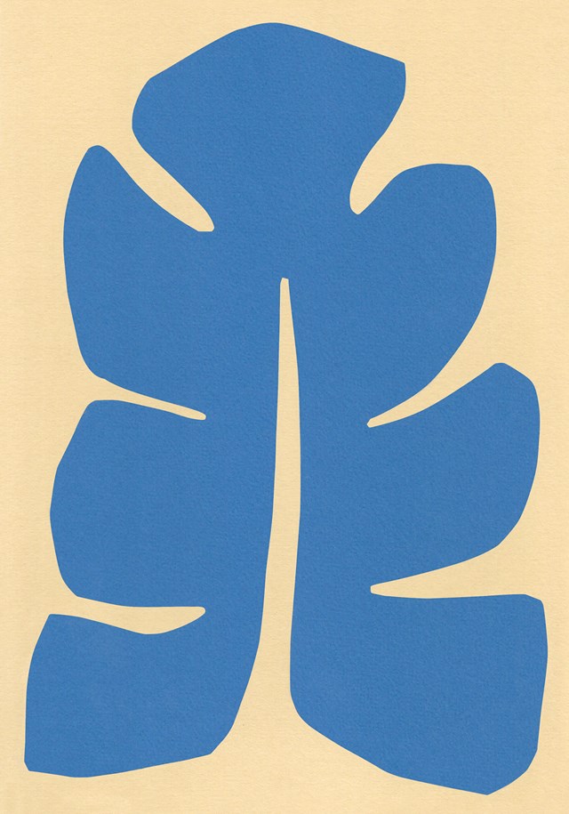 CARTE TUMU'URU 5