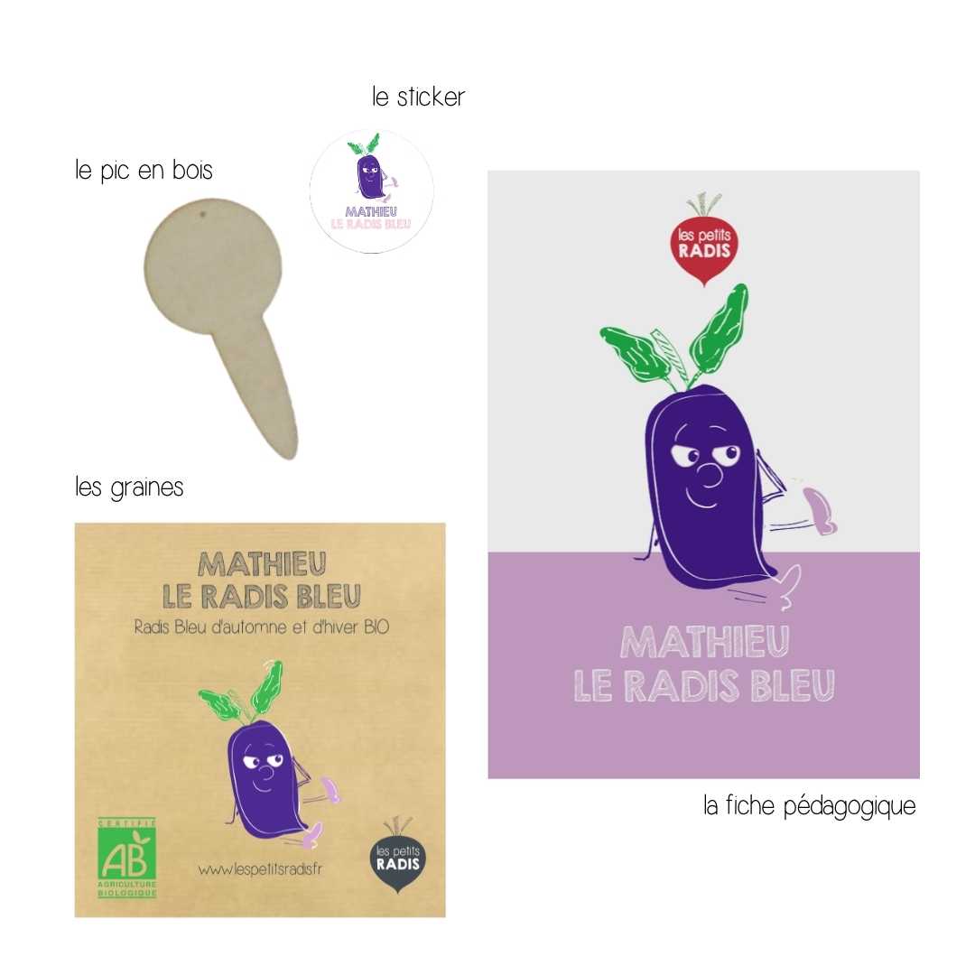 Mini-kit de semis - graines de radis bleu bio - Mathieu le radis bleu 5