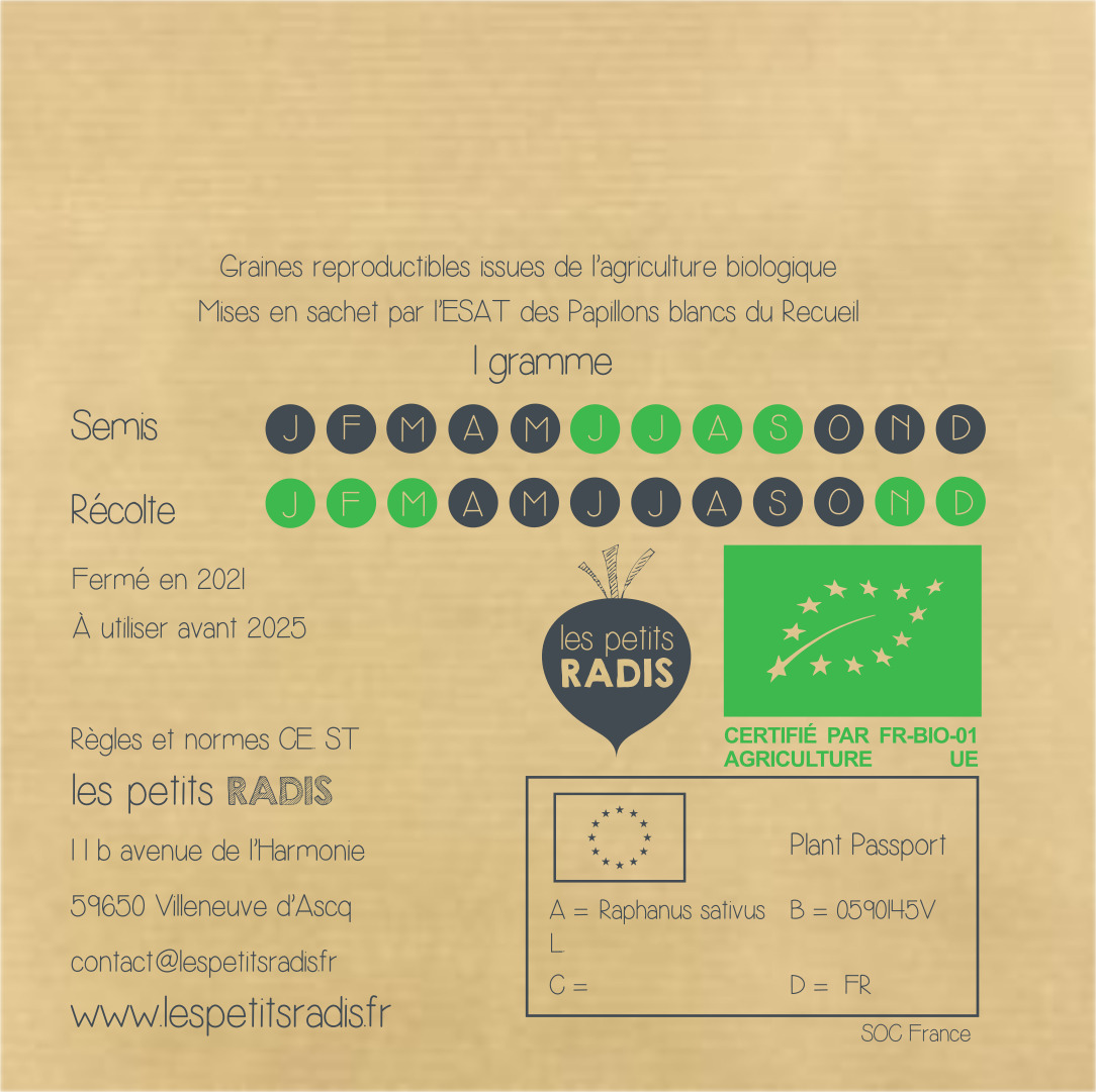 Mini-kit de semis - graines de radis bleu bio - Mathieu le radis bleu 4
