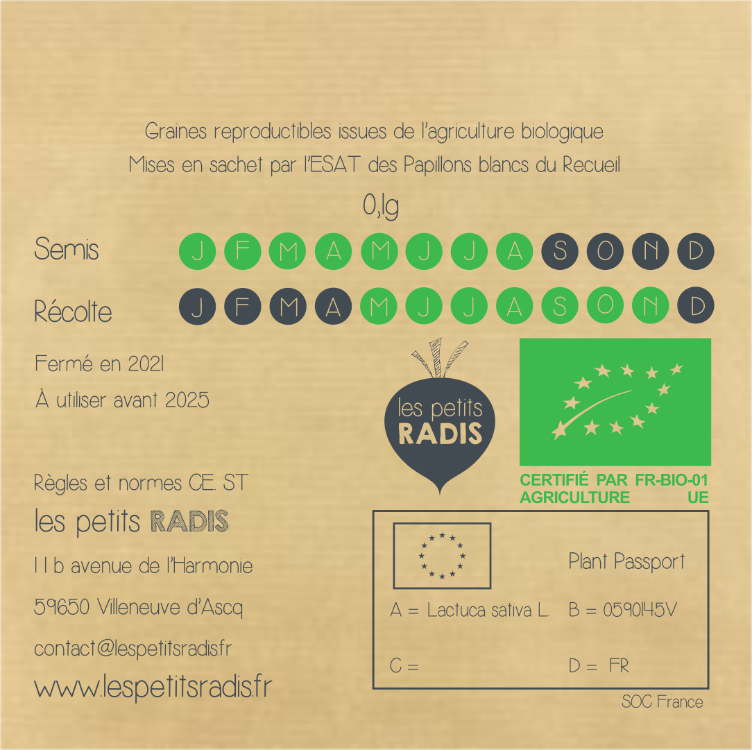 Mini-kit de semis - graines de laitue bio - Manue la laitue 4