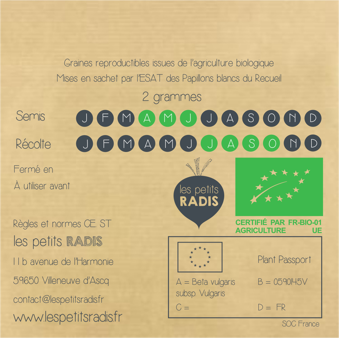 Mini-kit de semis - graines de betterave bio - Clémence la betterave rose et blanche 4