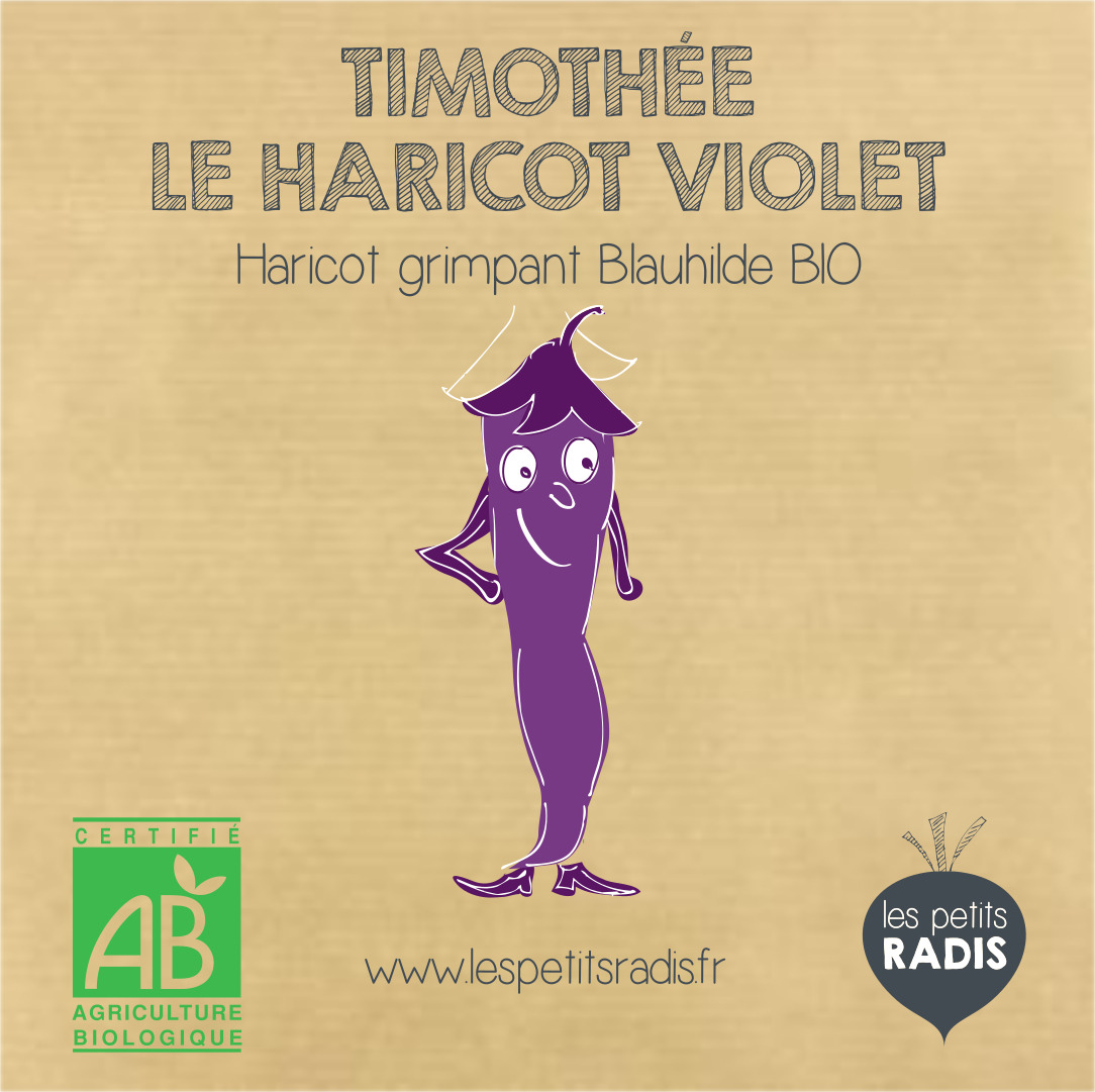 Mini-kit de semis - graines de haricot violet bio - Timothée le haricot violet 4
