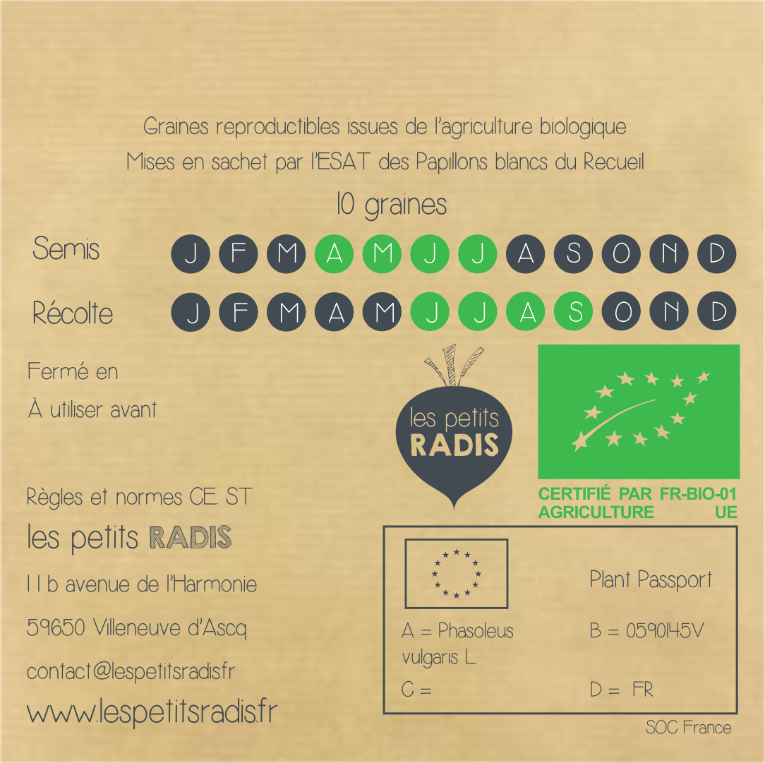 Mini-kit de semis - graines de haricot violet bio - Timothée le haricot violet 5