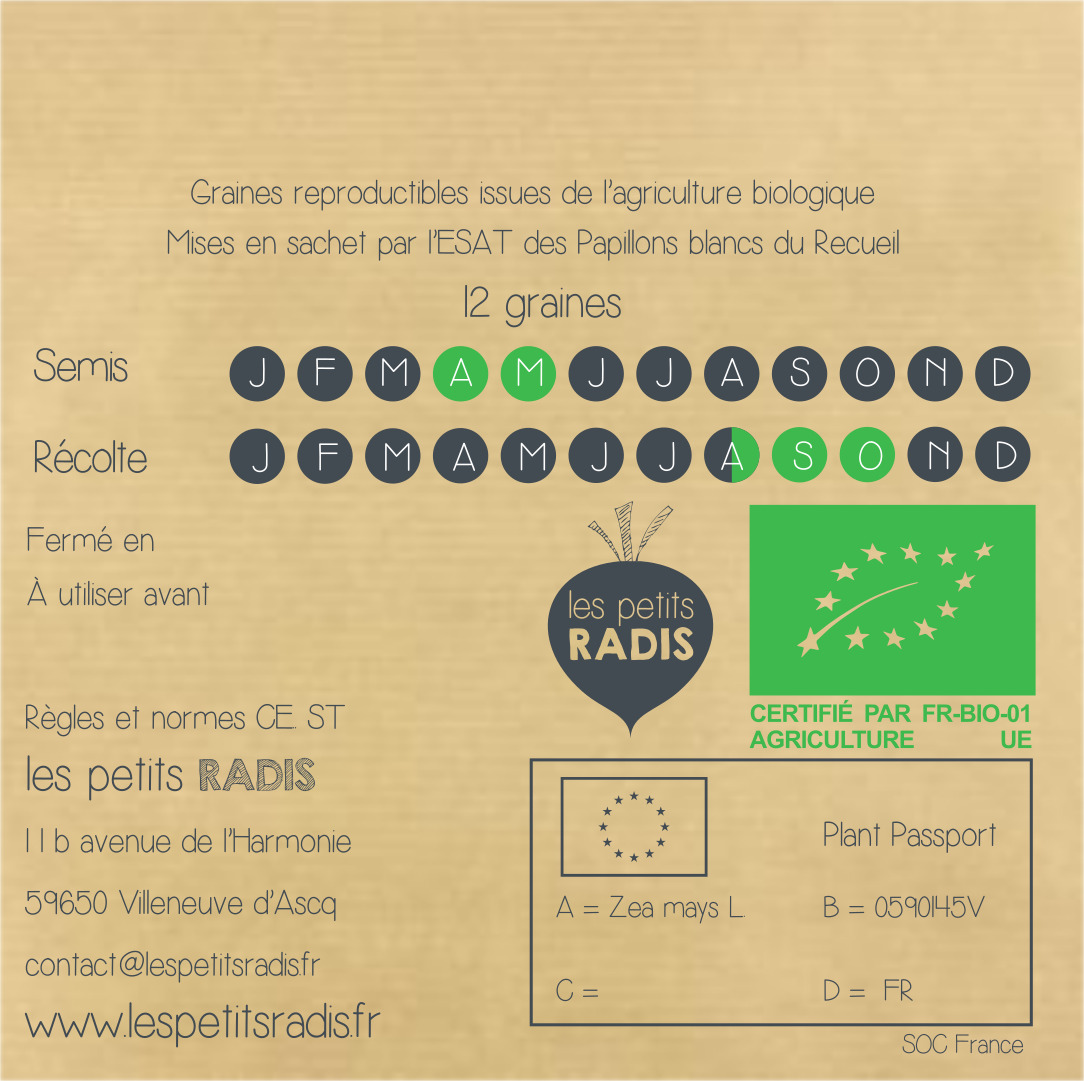 Mini-kit de semis - graines de maïs noir bio - Edgar le maïs noir 5