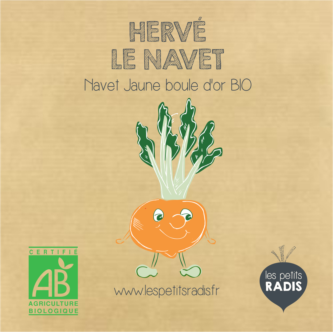 Mini-kit de semis - graines de navet bio - Hervé le navet 4