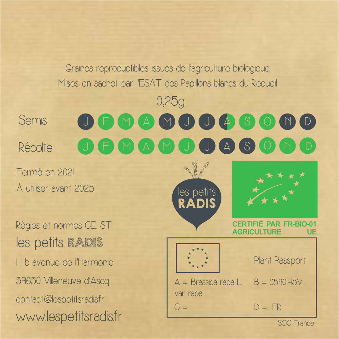 Mini-kit de semis - graines de navet bio - Hervé le navet 5
