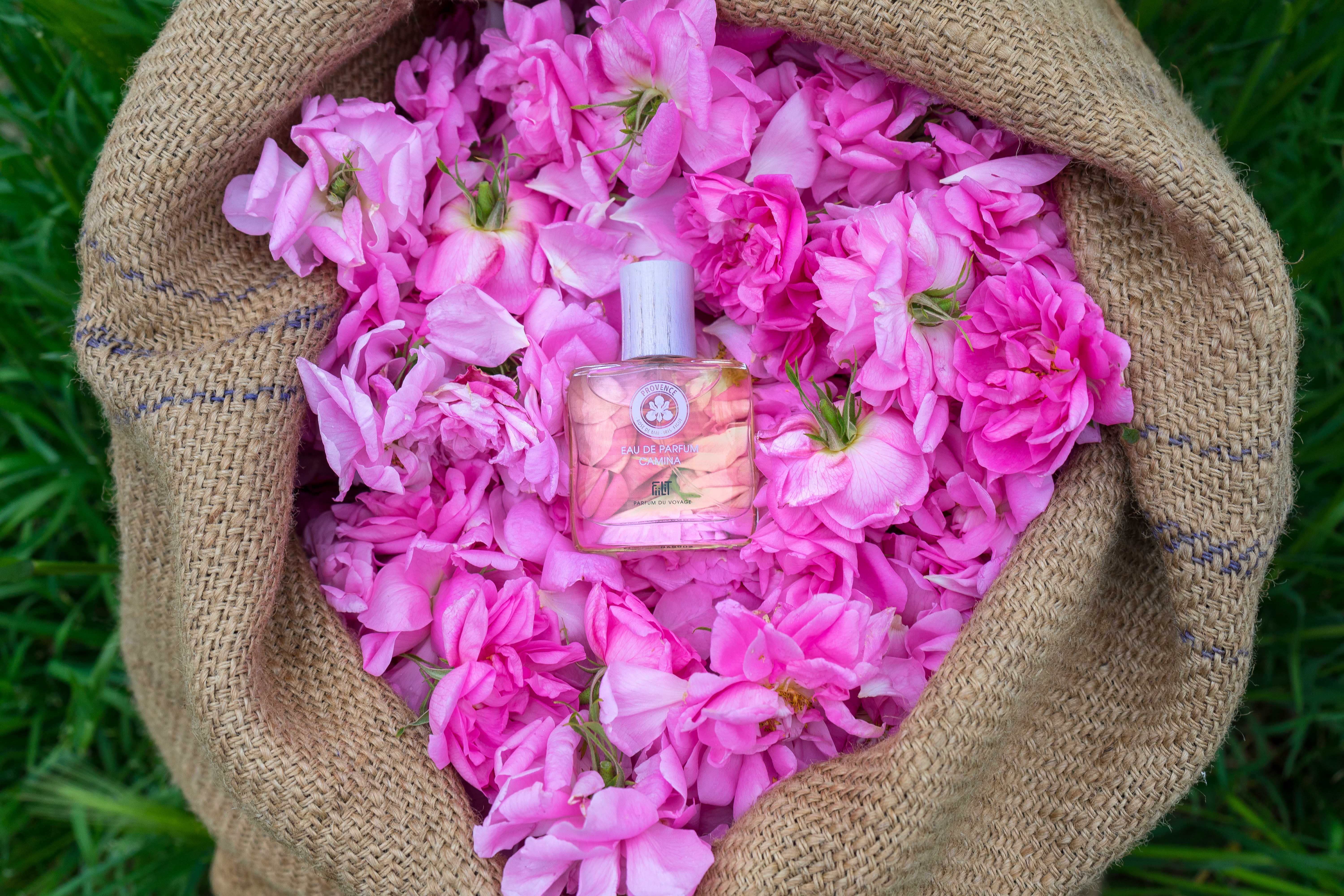 CAMINA PROVENCE, EAU DE PARFUM 50ML,  99.9% NATURELLE, VEGAN, UNISEXE 3