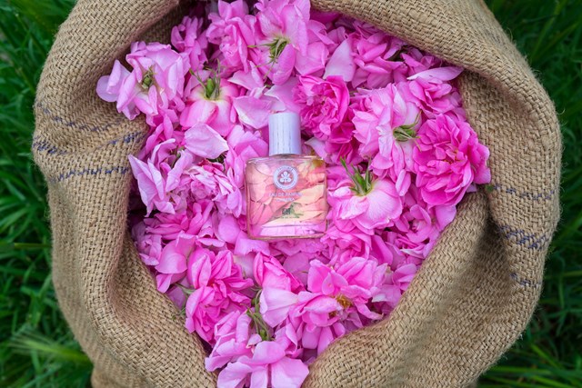 CAMINA PROVENCE, EAU DE PARFUM 50ML,  99.9% NATURELLE, VEGAN, UNISEXE 3