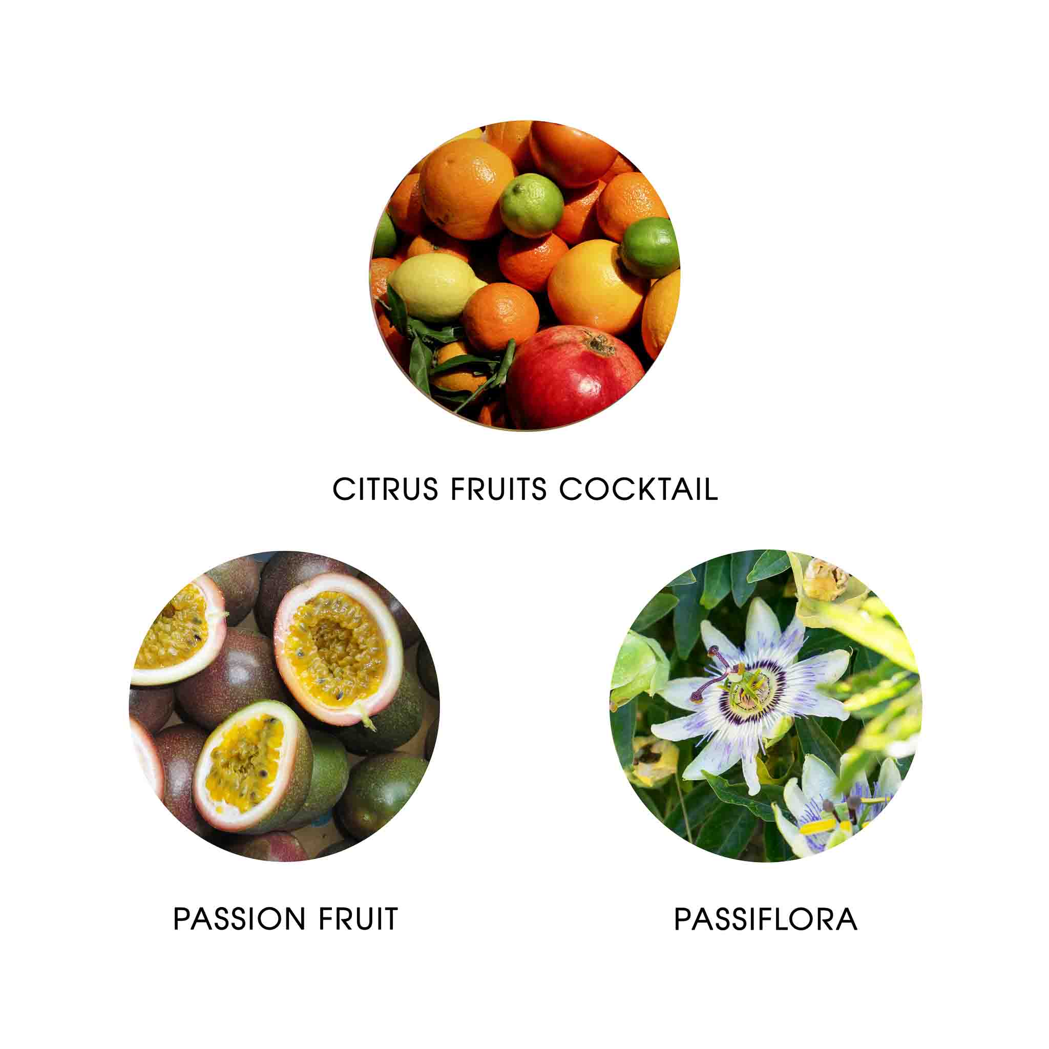 SAUDADE AMAZONIA, EAU DE PARFUM 50ML, 99.9% NATURELLE, VEGAN, UNISEXE 5