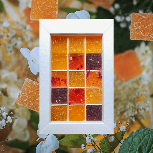 Coffret Pâtes de Fleurs biologique Assortiment 15 pièces 3