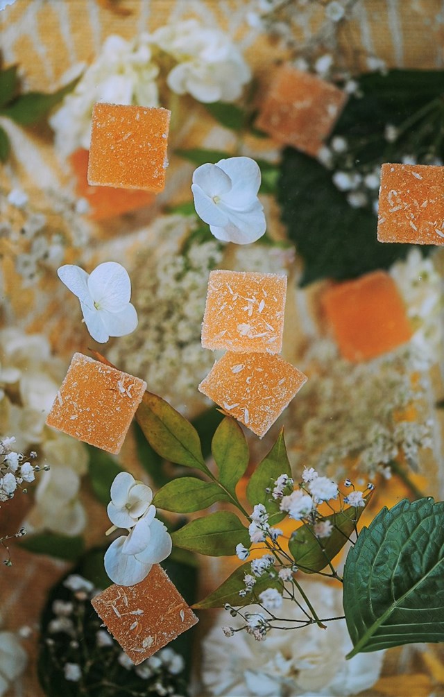 Coffret Pâtes de Fleurs biologique 10 pièces Jasmin / Lavande 4