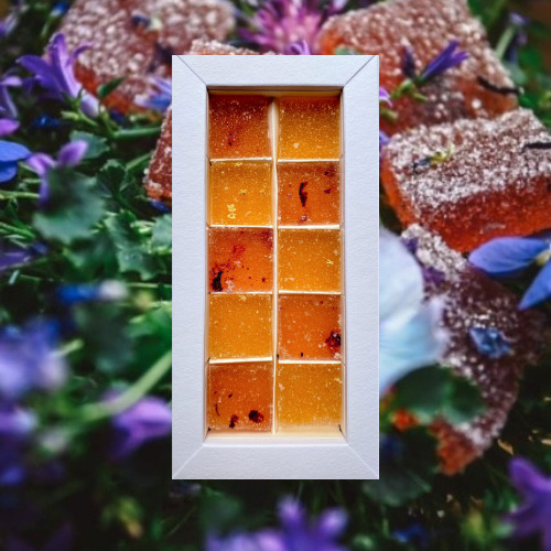 Coffret Pâtes de Fleurs biologique 10 pièces Violette / Sureau 4