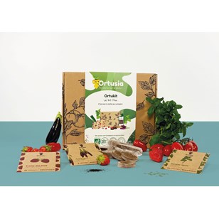 Kit potager « Mini » 5 variétés de graines bio – Blocs de coco : 