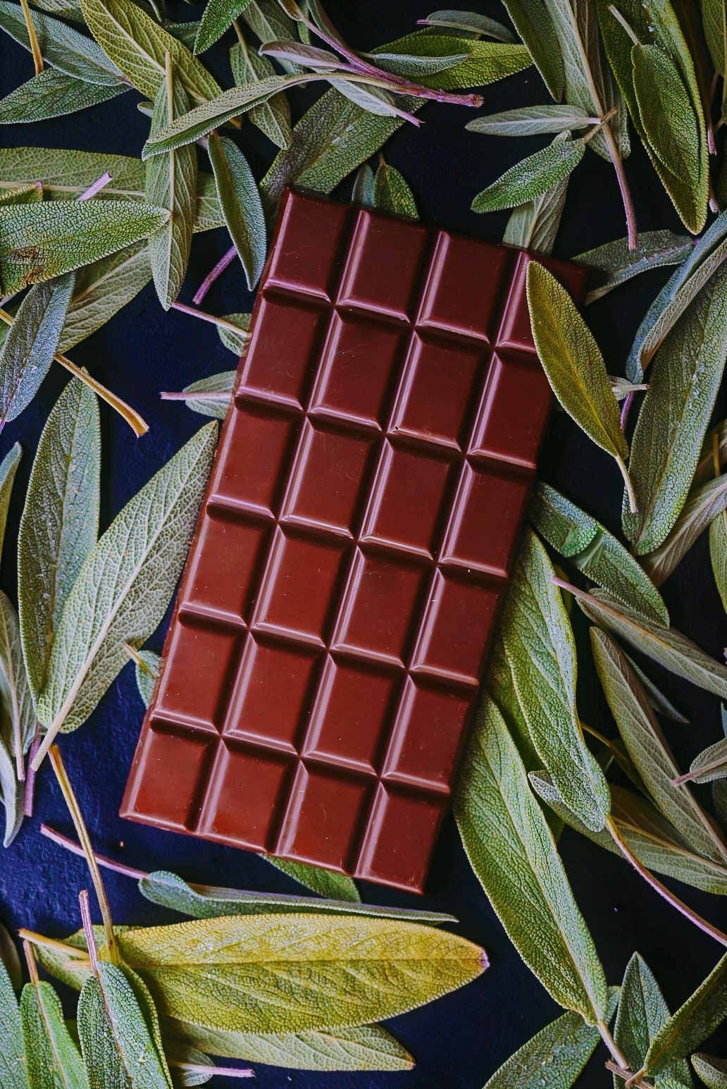 Tablette Noir Enfleurage bio Fleurs de Sauge 2