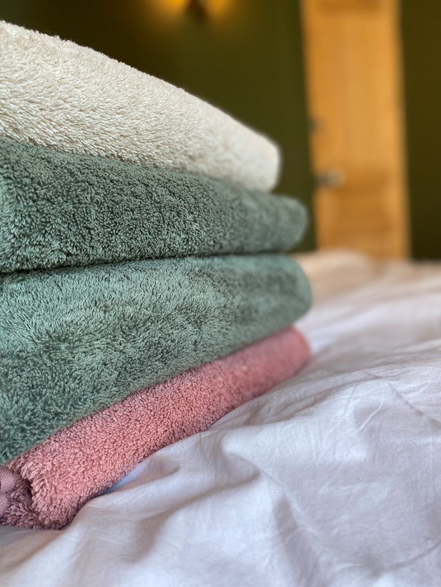 Drap de Bain 100x140 "Fougères" en Coton 100 % Biologique      3